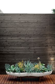 Michael and Tamami brought greenery to the master bath courtyard, which is lined with Eco Arbor Designs deck tiles, in the form of succulents in a ceramic Peanut planter by John Follis for Architectural Pottery from Vessel. Photo by Coral von Zumwalt.