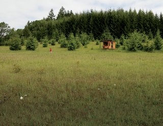 Though the retreat is clearly meant to afford the solitude writing so often requires, Kathleen reports that "it's very lively. Deer approach, birds bathe. The sun warms my desk and you can hear the rain."