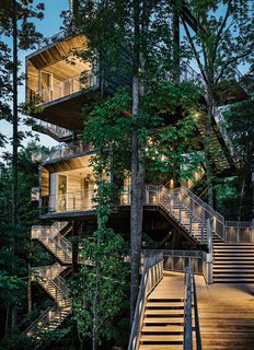 Visitors learn about energy and water conservation as they climb outdoor staircases that lead from the forest floor to the 125-foot-high rooftop rising above the leaf canopy. Photo by Joe Fletcher.