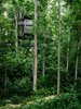 The Sustainability tree house is home base for the National Scout Jamboree, a weeklong event that's usually held every four years. The 2013 event was the first held at the new location in the Summit Bechtel Reserve. Seattle-based firm Mithun led the multidisciplinary team that worked on the project. BNIM is the architect of record, Nelson Byrd Woltz masterminded the landscaping, the structural engineering is by by Tipping Mar, and the exhibit design is by Volume, Inc. and Studio Terpeluk. Photo 2 of Sustainability Treehouse modern home