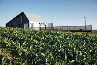 The long gangplank of a deck runs right out into the fields, a fact that Treanor relishes.