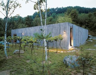 Cho’s recently completed vacation retreat, the Concrete Box House, was inspired by the use of raw materials. Cho decided on grape vines as an unusual landscape element.