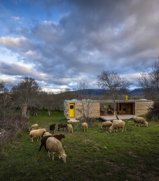 “This is a humanized landscape of meadows, walls, ash, streams, a small-scale landscape, minimal, almost domestic, and where absolutely everything happens in yellow,” the architects wrote in a statement. To that end, the only hint of color on the house’s otherwise natural exterior is a door painted a vibrant lemon-yellow hue. Photo of Refuge modern home