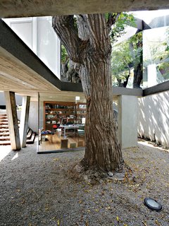 This open-ended box, lined in mirrored glass, performs like a kaleidoscope, amplifying the mature Melia tree’s presence within the dining room.