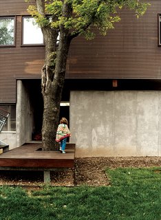 Jamie built the decking, of ipe, to accommodate a tree by the entrance to the garage.