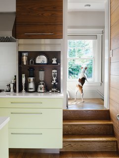 25 Dogs Living in the Modern World - Photo 19 of 25 - Dan Pacek and John Roynon of Leonia, New Jersey, expanded and renovated their tiny kitchen, integrating it more sensibly into their 1911 house while borrowing natural light from secondary sources, such as a window on the landing leading to the second floor.