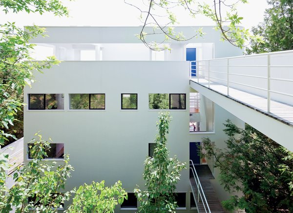 Nestled into the hillside and largely concealed from view, the Douglas House is accessed via a footbridge that leads to the house’s uppermost level. Upon entering, the visitor descends to the lower floors via a winding staircase.