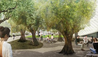 The Broad Museum in Los Angeles Reveals Plaza Plans - Photo 3 of 4 - The plaza's defining feature is to be a grove of century-old olive trees originally seeded in the Shasta Cascade region of Northern California. The grove, which will include a crushed-stone walking path and flowering ground cover, will serve as a buffer between the museum and the busy street. Image courtesy of Diller Scofidio + Renfro.