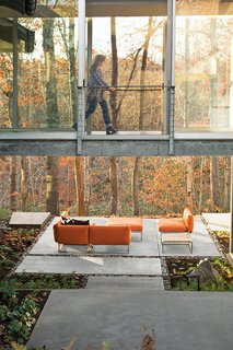 In fall, the color of this backyard in Charlottesville, Virginia, changes daily with the foliage. Elizabeth Birdsall marvels how new outdoor spaces on her property, like a patio furnished with upholstered seating from Gloster, make enjoying the woods an easy experience: "It’s like comfortable camping, all the time."