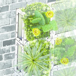 How To Create a Small Space Garden - Photo 2 of 4 -