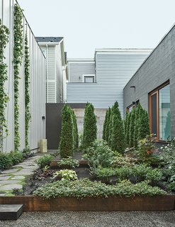 This Light-Filled Industrial Renovation Plays Host to Live Music - Photo 10 of 11 - Hutchins and Montague worked with Samuel H. Williamson Associates Landscape Architecture on the garden, which is planted with sword ferns, vine maple, and wild ginger. "When we look at it from the bedroom, it’s our private little forest," Montague says.