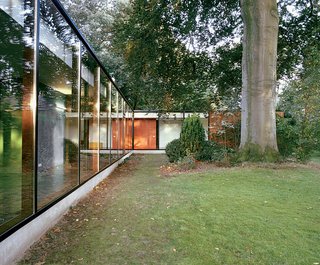The 300-year-old beech tree supplies shade, movement, sound, and color to the site, and provides a towering natural counterpoint to the renovated home's long, low expanses of glass.
