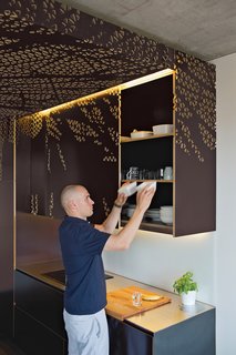In the Spotlight"I’m a huge proponent of lighting as architecture," says Nix, who suggests illuminating objects instead of empty space. "Light on an object creates ambiance." In their apartment, they’ve trained track lights from the Polish company LightArt on the Cube, as well as on the handmade cabinetry. The fixtures, which Novak-Zemplinski describes as "good quality and inexpensive in comparison to more well-known brands," are also installed at the MoMA in New York.<br><br>lightart.pl<br><br>Practical DecorationOne of the secrets to living neatly in a small apartment, says Nix, is lots of storage space. To that end, the couple built big cabinets along the walls. To create a sense of visual unity throughout the eclectic but compact space, the couple hand-carved the tree pattern from the kitchen into these cabinet doors (from a template) using an electric router. It’s more than ornament: The cutouts eliminate the need for jutting cabinet pulls.<br><br>biolinia.com