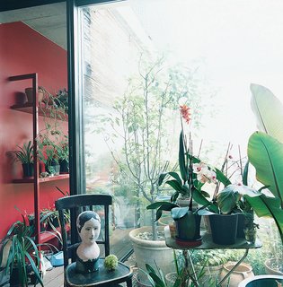 The sun room features an exotic assemblage of tropical plants and ojbets de arte.