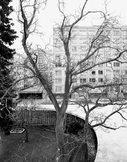 The clean-cut concrete roof slab of Prague’s EggO House frames a backyard full of spruce and apple trees.