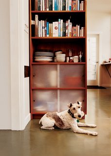 Bay Wash - Photo 3 of 9 - Sparky the wirehaired fox terrier takes a load off in front of one of the cherry-ply cabinets with sanded acrylic doors that Azevedo built for the kitchen.