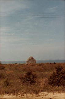 Learnings from Nantucket - Photo 1 of 5 - DW0608_ESSAY_04