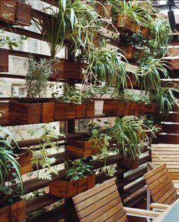 Boxes of herbs and spider plants line one side of the patio.