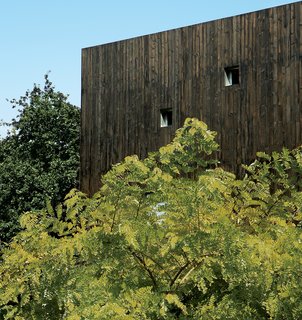 The house's stained-cedar cladding makes a stark but pleasing contrast to the natural foliage of the site.