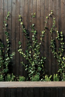 A garden of of small herbs and vines creates a fan of green as the plants creep up the outside walls. What at first seems to be a stark use of artificially dark wood reveals itself to be unironically natural: a soothing and woodsy backdrop for this home in the bustling city.