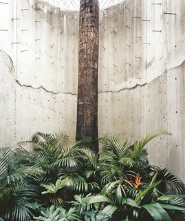 The house is largely enclosed for privacy, but hints of the outdoors, with its tropical light, are always close by. A royal palm enclosed in concrete suggests the contained foliage of courtyards found in older San Juan homes.