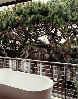 Sliding glass panels in the bathroom open to put the tub in the tree canopy.