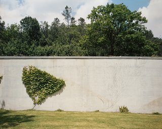 Despite being meticulously maintained, bits of unruly vegetation find their way onto the house’s pristine concrete walls.