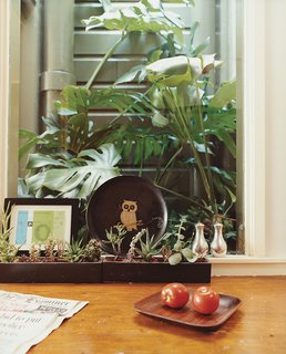 A 1972 ticket to the Munich Olympics, a vintage lacquer plate, and Eva Zeisel salt and pepper shakers for Nambe perch in front of the atrium which abuts the kitchen.