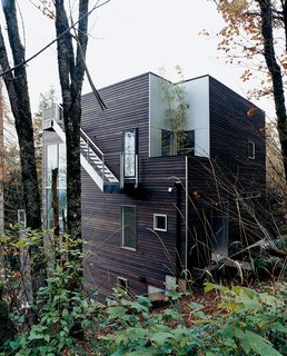 The wooded site allowed for soaring, curtainless windows that the couple couldn’t have enjoyed downtown.