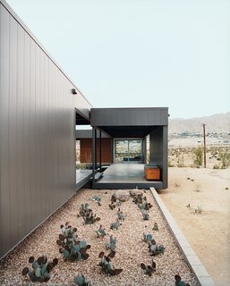 Ocotillo was placed in key areas as a great structural focal point.