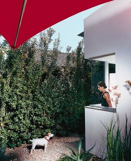 Dawn Farmer looks out from her office at Darby, one of the couple’s two dogs, in the front yard. The house is clad in smooth stucco top-coated with white Venetian plaster, and has a perimeter wall made of Cor-Ten steel panels and stuccoed cinder blocks.