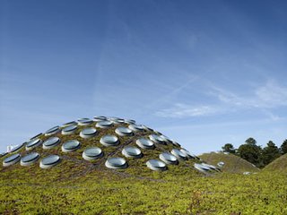 Cal Academy's Green Credentials - Photo 1 of 1 - California Academy of Sciences Location: San Francisco, California Architect: Renzo Piano Building Workshop