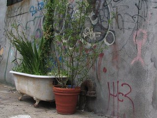 Trees Not Trash - Photo 1 of 1 -