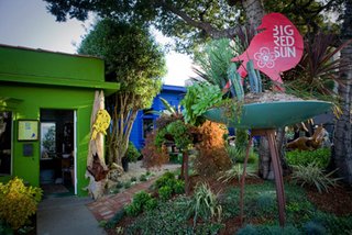 LA Event: Succulent How To at Big Red Sun - Photo 1 of 1 -
