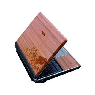 A Laptop Even A Panda Could Love - Photo 1 of 1 -