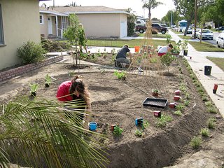 Artist Fritz Haeg is trying to change the way we look at our lawns and illustrate how we might make better use of them. Michael and Jennifer Foti’s once unproductive front yard gets a makeover.