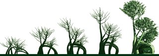 Branching Out - Photo 4 of 6 - The stages of the Fab Tree Hab are shown.