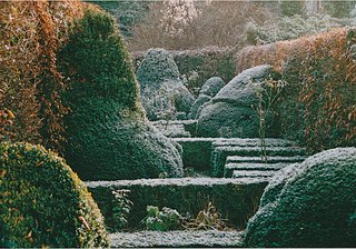 Well Pruned - Photo 2 of 2 - The landscaped garden outside of a home in Karlsruhe, Germany, designed by Klahn + Singer + Partner, employs a sculptural take on the traditional cabinet or hedgerow.
