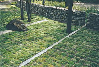 Supplant Your Lawn - Photo 2 of 2 - For H. Keith Wagner's Hilltop residence, moss is the green ground cover alternative to water-guzzling grass.