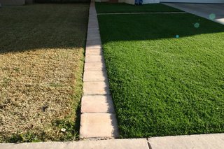 On Greener Turf - Photo 2 of 3 -