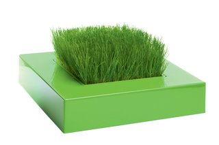 A+R Owners at DoD 2009 - Photo 1 of 3 - Chlorophylle by Christophe Vialle for Racine Carré. Available at A+R.