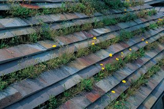In the summertime, grass and dandelions blooming add a new hue to the roof of Fujimori's family home.