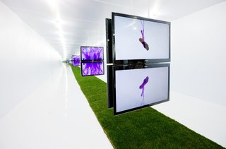 Narcissus Cube by Ligyung, Photo by Sergio Pirrone