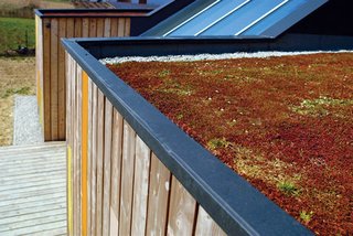 The garden-ready rooftop can provide additional insulation and soundproofing.