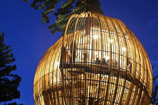Yellow Treehouse Restaurant - Photo 5 of 5 -
