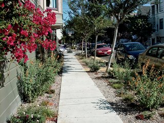 Where the Sidewalk Ends - Photo 1 of 4 -