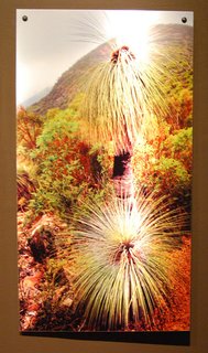 Touring Design for a Living World - Photo 2 of 4 -