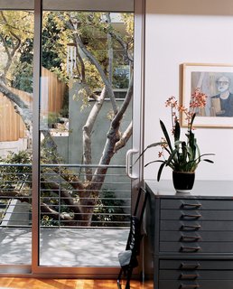 Two Houses Are Better Than One - Photo 7 of 13 - There are balconies off nearly every room. The interior is built around a mature Chinese elm that once dominated the backyard of the front house.