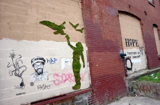 Unauthorized Moss Art - Photo 2 of 5 -