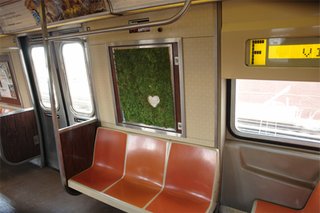 Unauthorized Moss Art - Photo 4 of 5 -